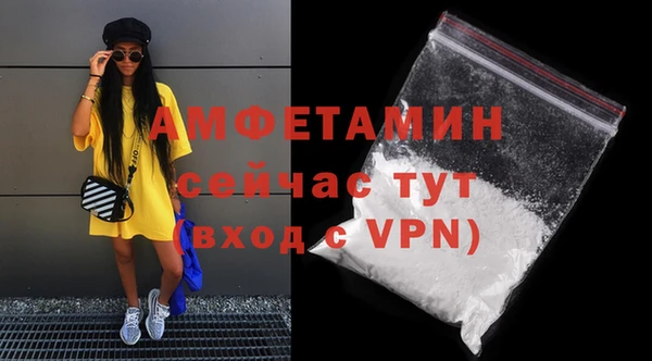PSILOCYBIN Майский