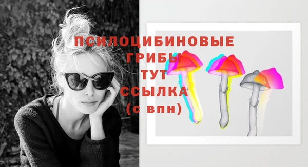 кокаин перу Ладушкин