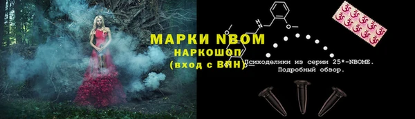 сатива Магадан