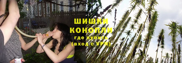 амф Лабытнанги