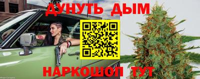 шишки Гусев