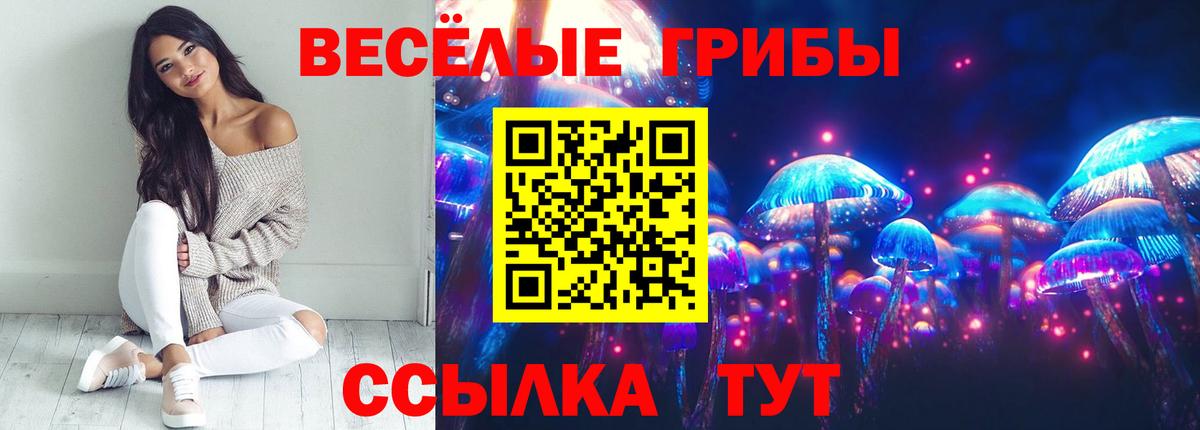 Псилоцибиновые грибы Cubensis Мелеуз